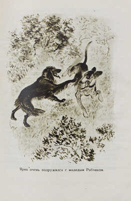 Пришвин М.М. Ярик / Рис. Е. Чарушина. М.; Л.: Детгиз, 1936.